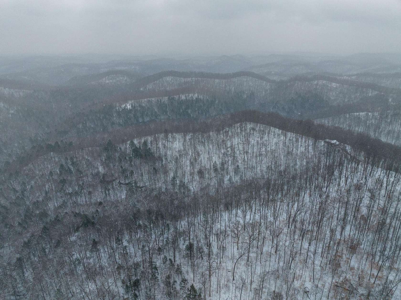 54 Acres of Land for Sale in Dunlow, West Virginia