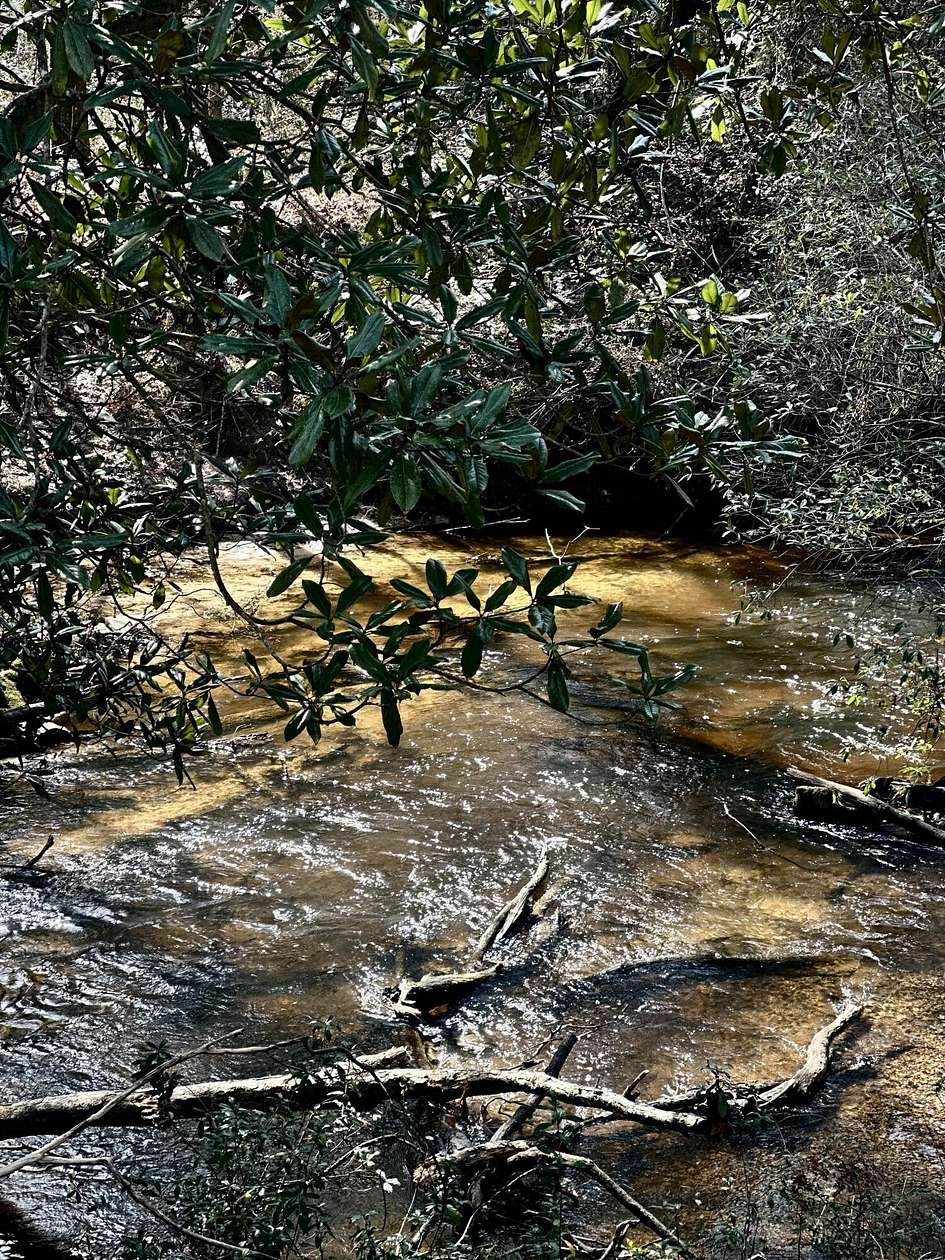 0.37 Acres of Residential Land for Sale in Lumberton, Mississippi