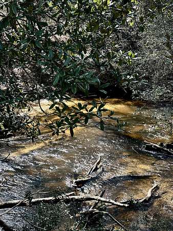 0.37 Acres of Residential Land for Sale in Lumberton, Mississippi