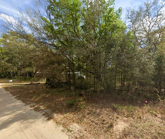 0.23 Acres of Residential Land for Sale in Interlachen, Florida