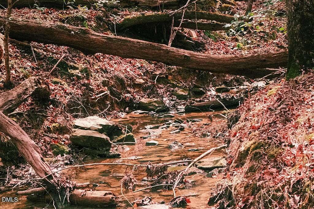 103 Acres of Recreational & Residential Land for Sale in Chapel Hill, North Carolina