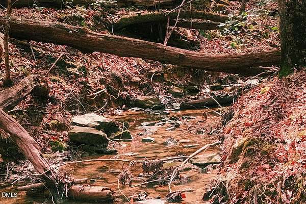 103 Acres of Recreational & Residential Land for Sale in Chapel Hill, North Carolina