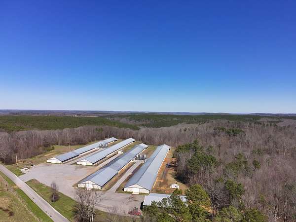 16 Acres of Land for Sale in Spruce Pine, Alabama