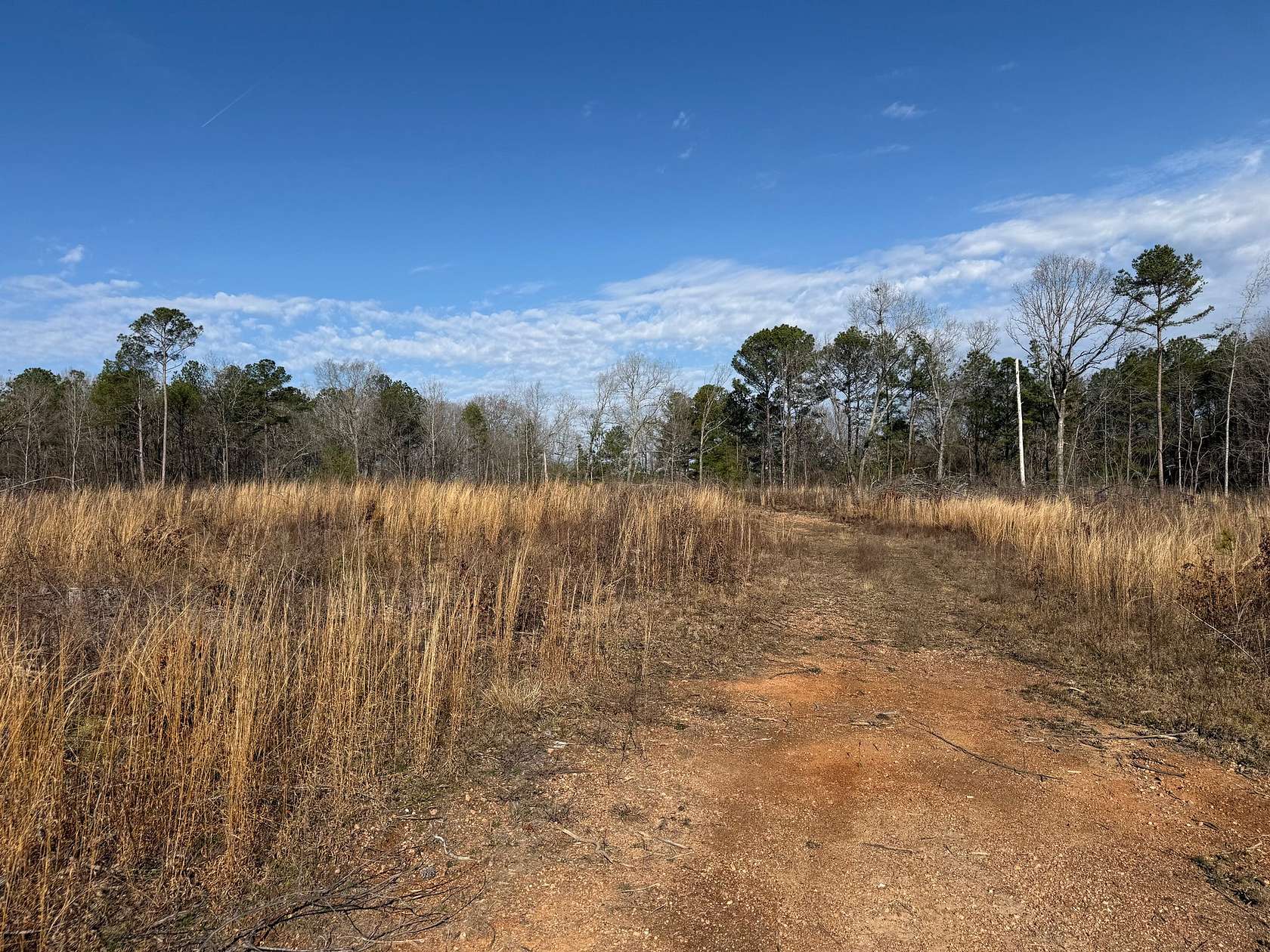 40 Acres of Recreational & Residential Land for Sale in Sylacauga, Alabama