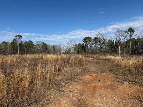 40 Acres of Recreational & Residential Land for Sale in Sylacauga, Alabama