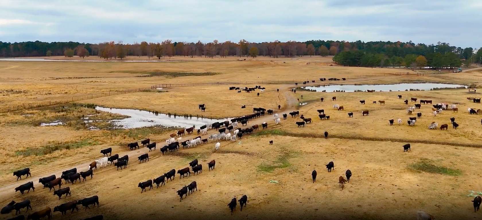 3,000 Acres of Land with Home for Sale in Longview, Texas