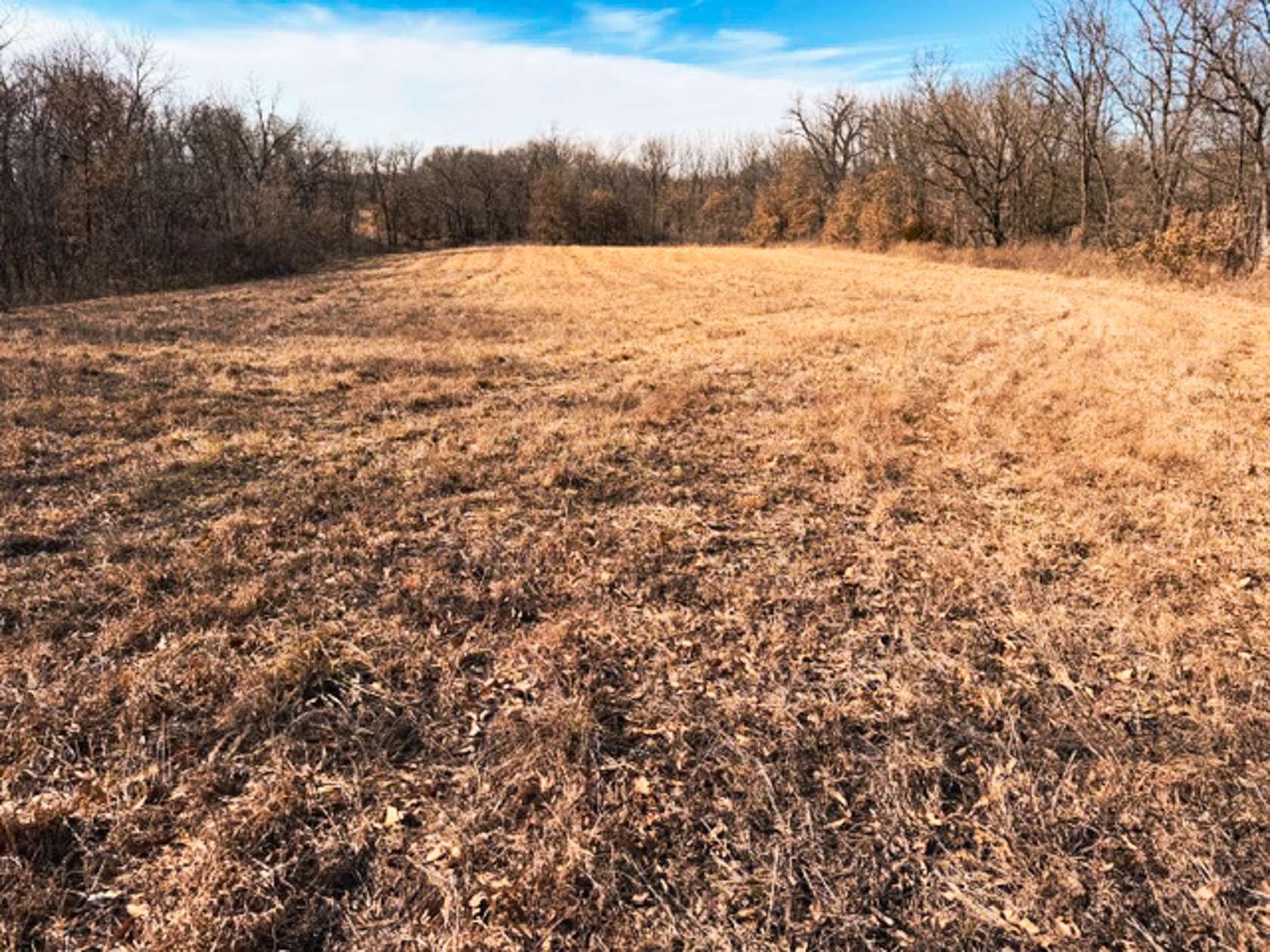 20 Acres of Land for Sale in Pattonsburg, Missouri