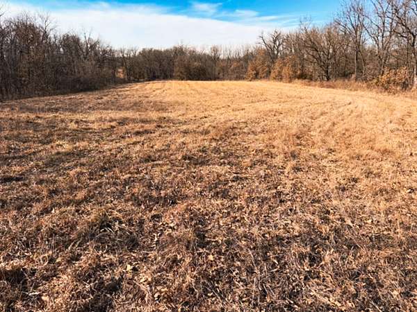 20 Acres of Land for Sale in Pattonsburg, Missouri