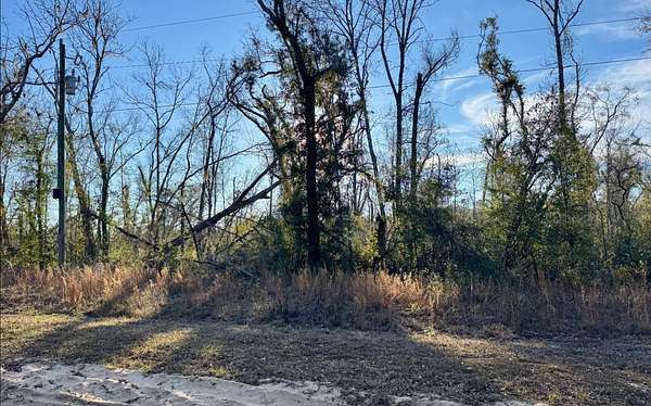 1.7 Acres of Residential Land for Sale in Jennings, Florida