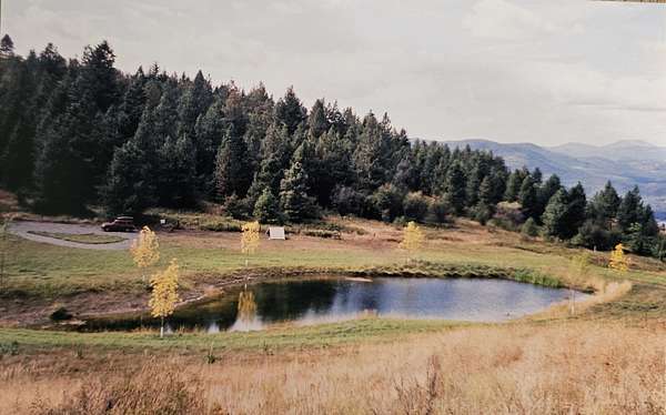 46.5 Acres of Land for Sale in Rice, Washington