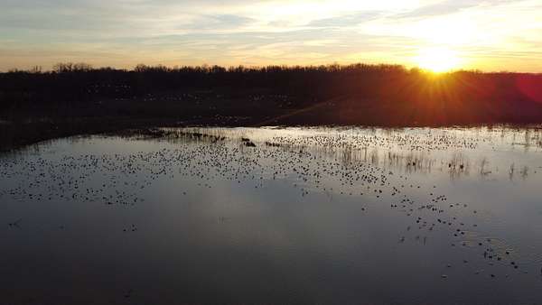 700 Acres of Recreational Land for Sale in Dudley, Missouri