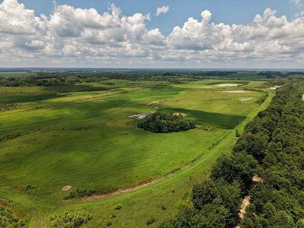 700 Acres of Recreational Land for Sale in Dudley, Missouri