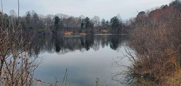 76 Acres of Land for Sale in Biscoe, North Carolina