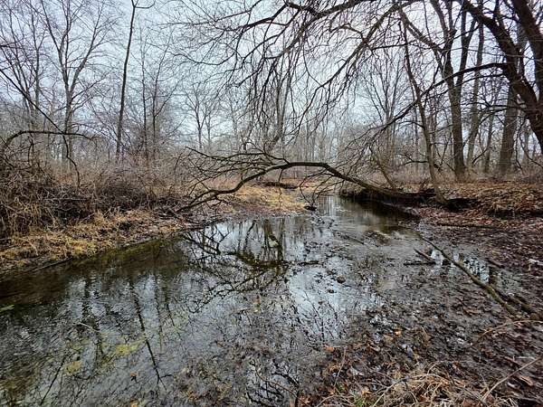 16.6 Acres of Land for Sale in Indianola, Illinois