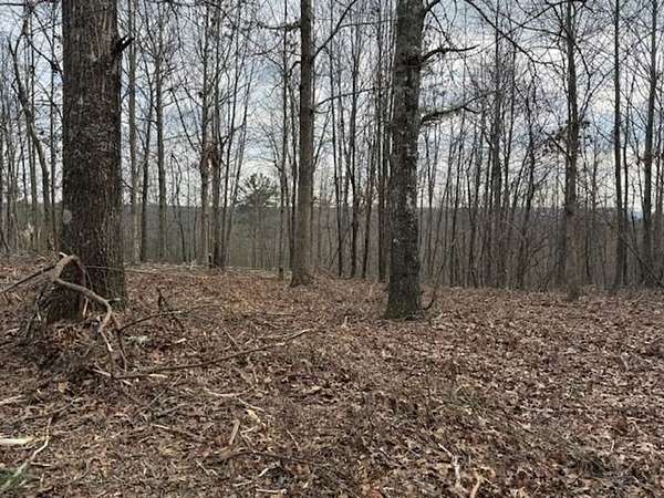 5 Acres of Recreational Land for Sale in South Pittsburg, Tennessee