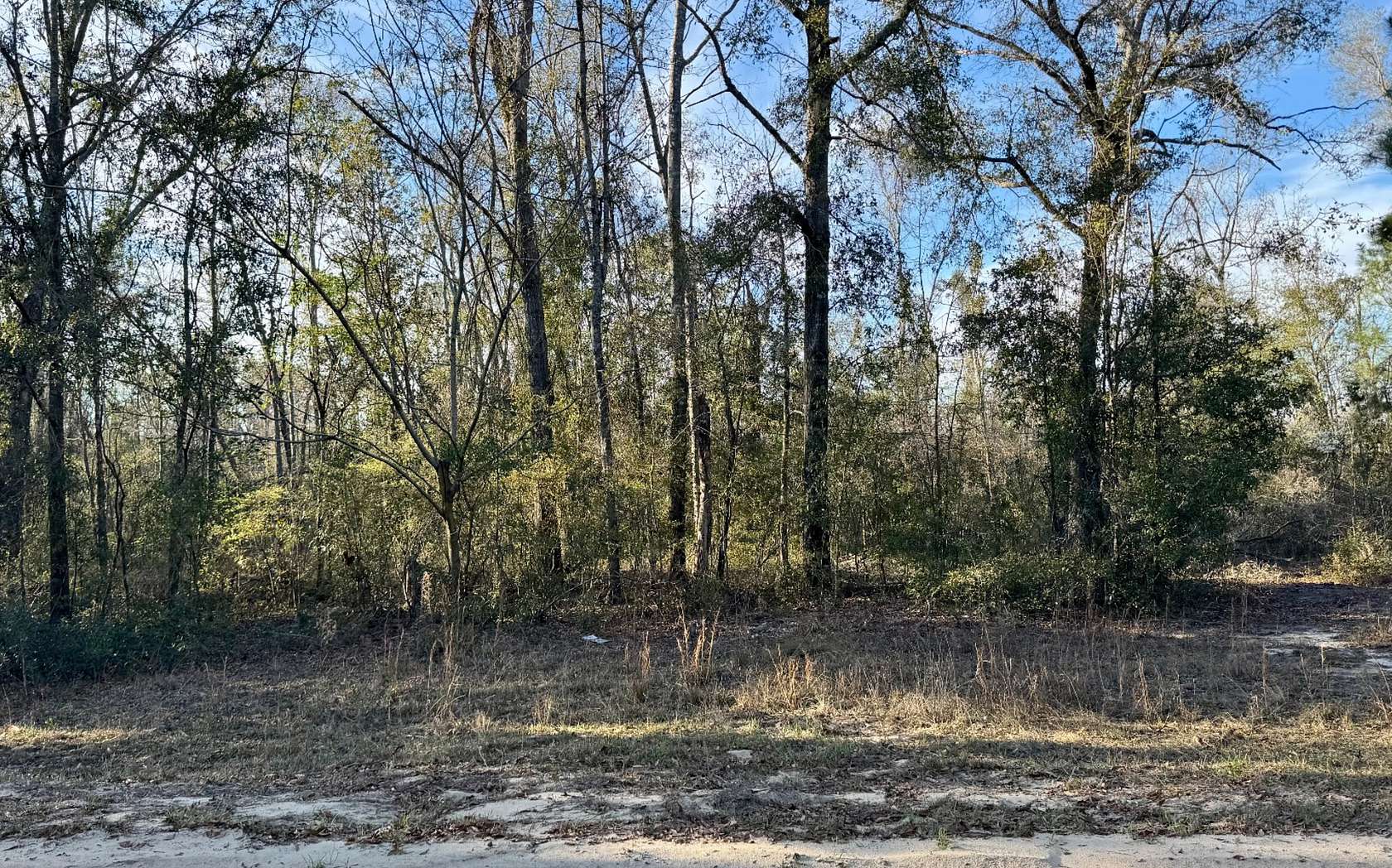 1.2 Acres of Residential Land for Sale in Jennings, Florida