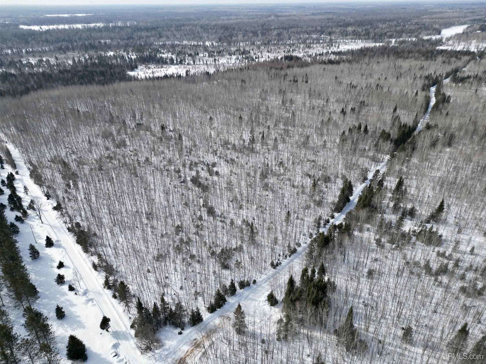 20 Acres of Recreational Land for Sale in Rock, Michigan