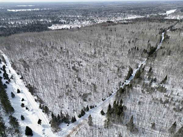 20 Acres of Recreational Land for Sale in Rock, Michigan