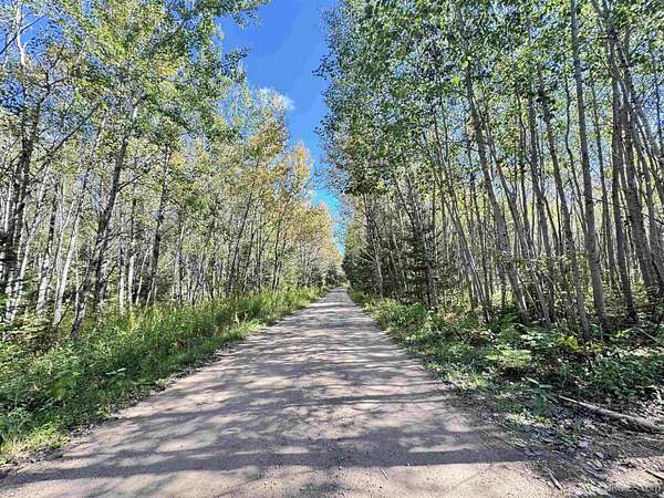 20 Acres of Recreational Land for Sale in Rock, Michigan