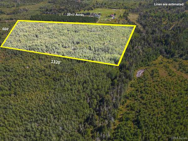 20 Acres of Recreational Land for Sale in Rock, Michigan