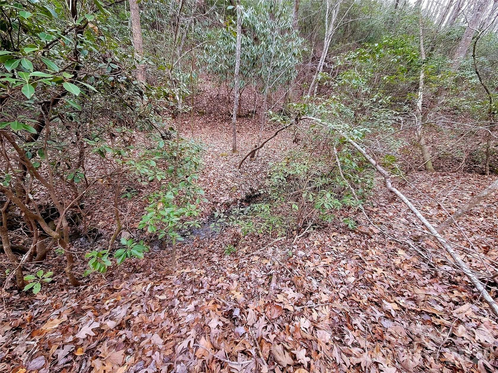 1.24 Acres of Residential Land for Sale in Lake Lure, North Carolina