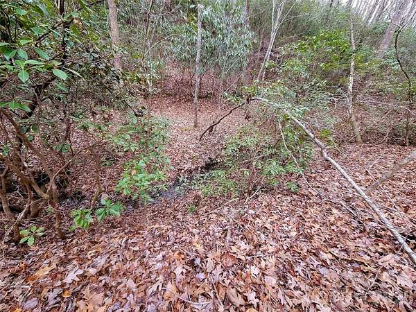 1.24 Acres of Residential Land for Sale in Lake Lure, North Carolina