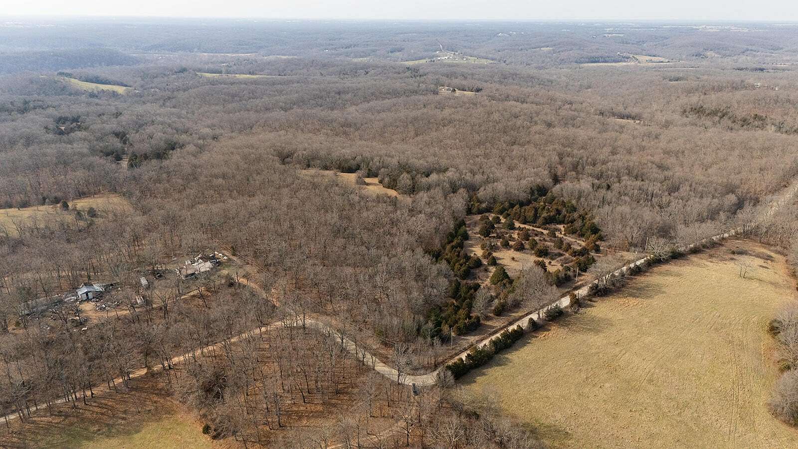 86 Acres of Land for Sale in Fordland, Missouri