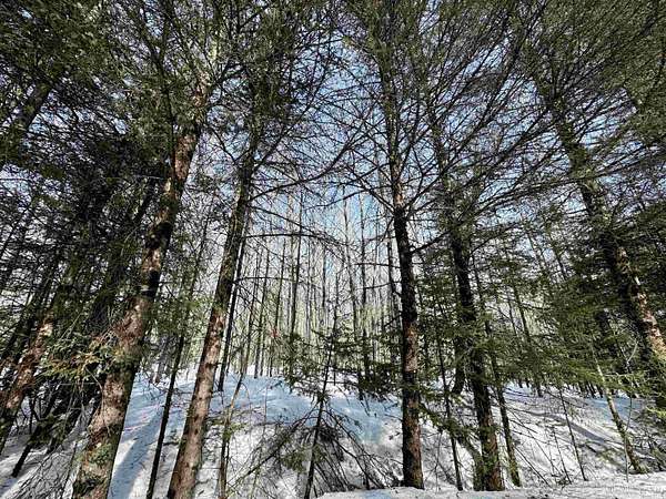 20 Acres of Recreational Land for Sale in Rock, Michigan