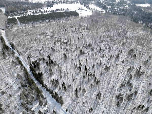20 Acres of Recreational Land for Sale in Rock, Michigan
