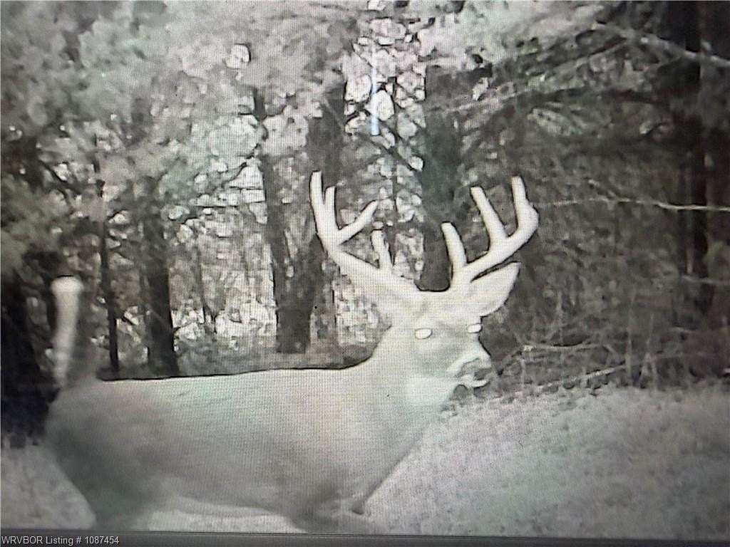 81.8 Acres of Recreational Land for Sale in Bokoshe, Oklahoma