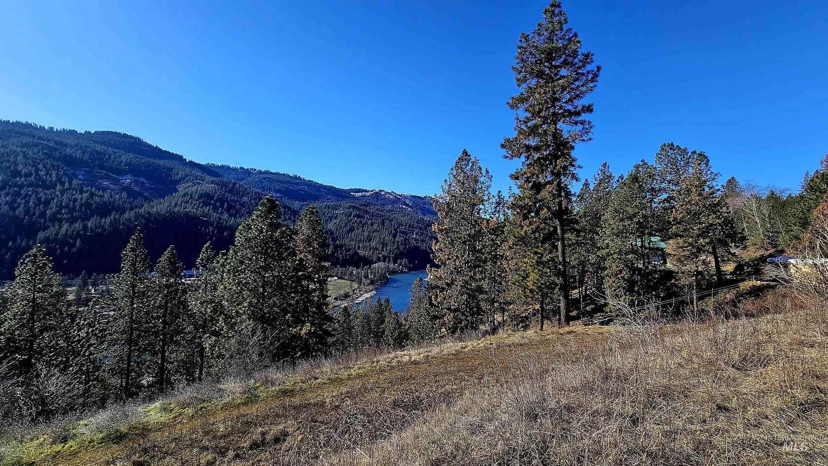 22.5 Acres of Recreational & Residential Land for Sale in Ahsahka, Idaho