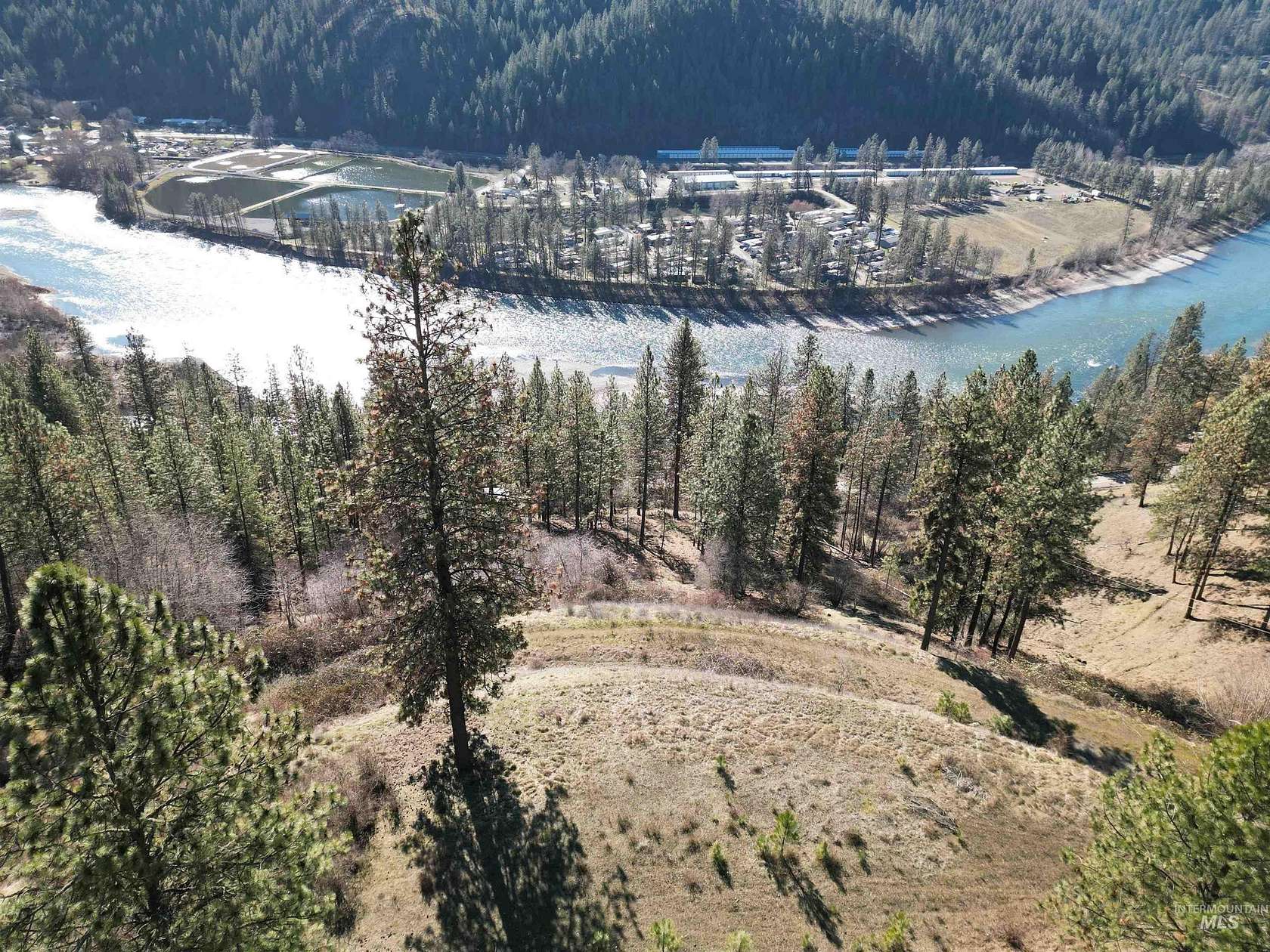 22.5 Acres of Land for Sale in Ahsahka, Idaho