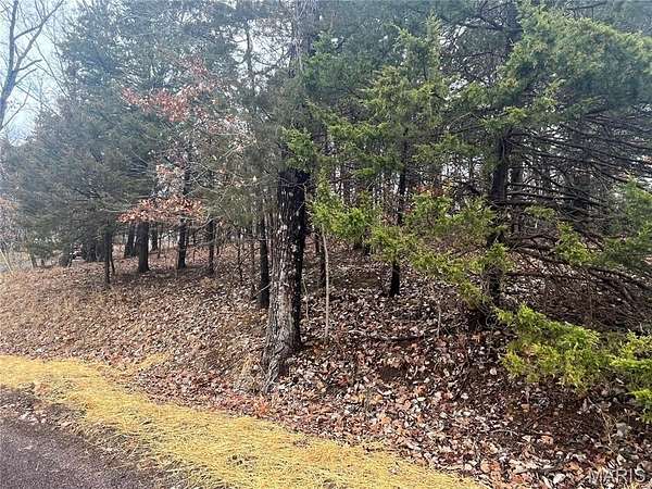 0.66 Acres of Residential Land for Sale in Marthasville, Missouri