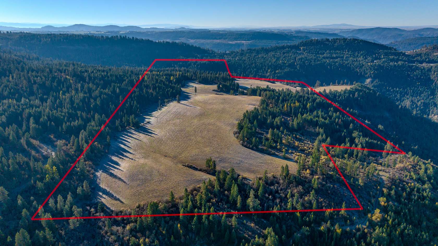 320 Acres of Land for Sale in Orofino, Idaho