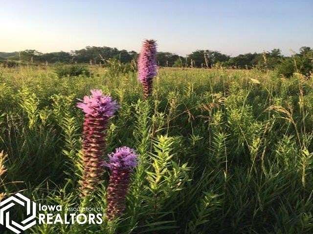 4.22 Acres of Residential Land for Sale in Fairfield, Iowa