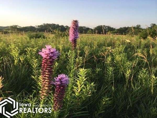 4.22 Acres of Residential Land for Sale in Fairfield, Iowa