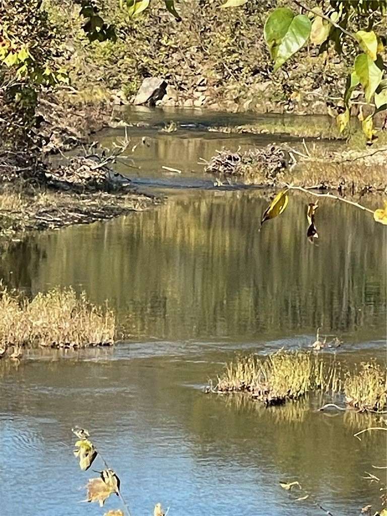 20 Acres of Land for Sale in Green Forest, Arkansas