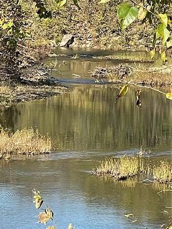 20 Acres of Land for Sale in Green Forest, Arkansas