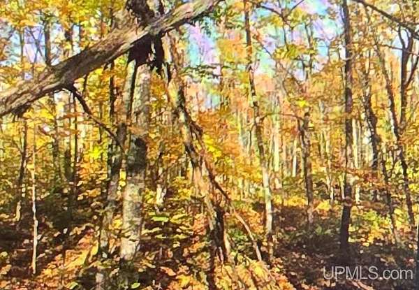 23.7 Acres of Recreational Land for Sale in Nisula, Michigan