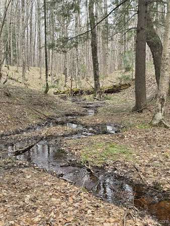23.7 Acres of Recreational Land for Sale in Nisula, Michigan