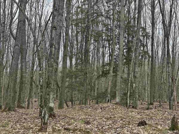 23.7 Acres of Recreational Land for Sale in Nisula, Michigan