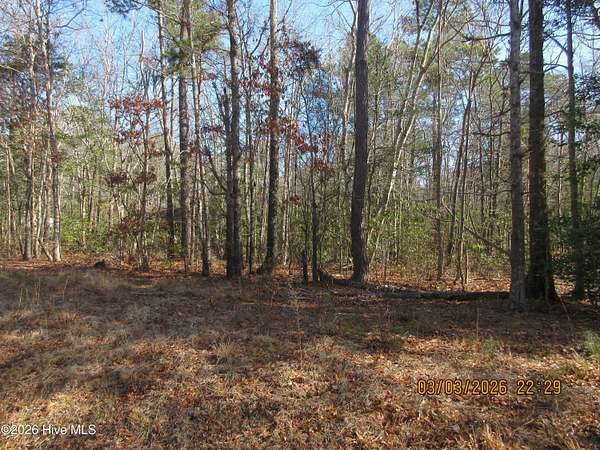 0.73 Acres of Residential Land for Sale in Grandy, North Carolina