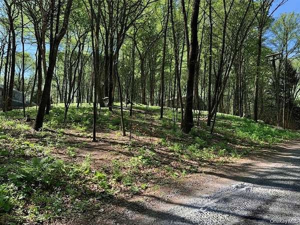 0.46 Acres of Residential Land for Sale in Pawling, New York