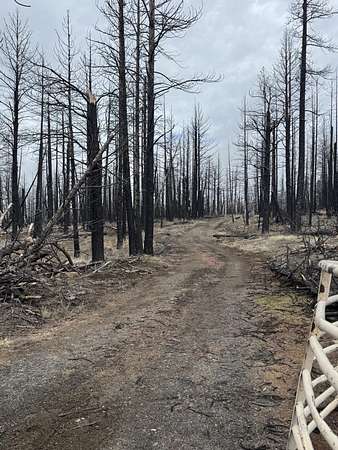 11.3 Acres of Improved Land for Sale in Bly, Oregon