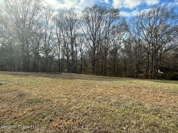 12.4 Acres of Recreational & Residential Land for Sale in Florence, Mississippi
