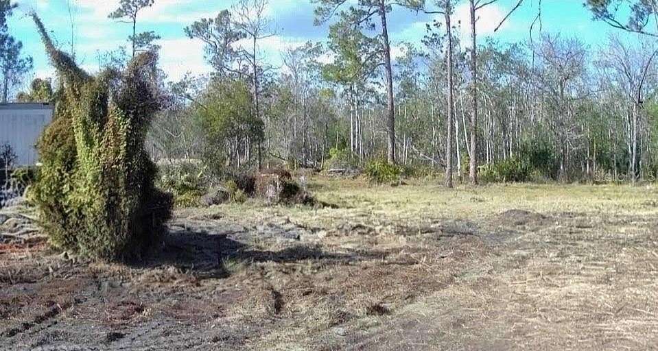 2.4 Acres of Land for Sale in Lake Placid, Florida