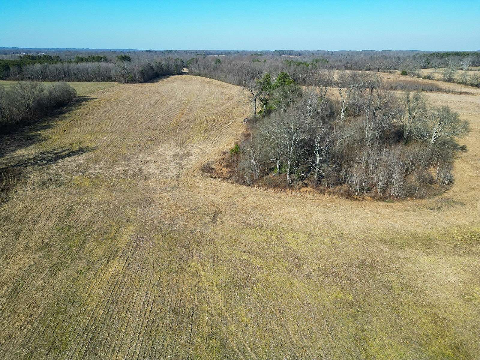 121 Acres of Agricultural & Residential Land for Sale in Ardmore, Alabama