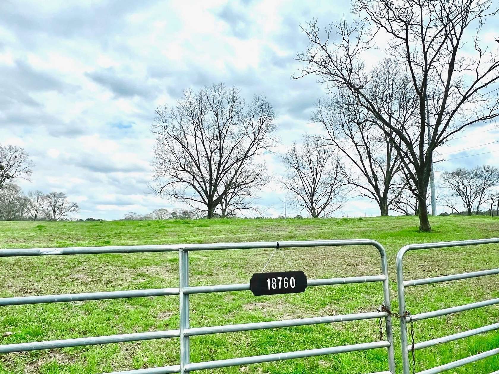 38 Acres of Agricultural & Residential Land for Sale in Andalusia, Alabama