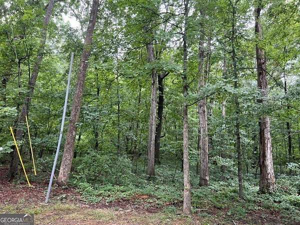 4.76 Acres of Residential Land for Sale in Ellenwood, Georgia