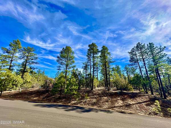1.17 Acres of Residential Land for Sale in Show Low, Arizona